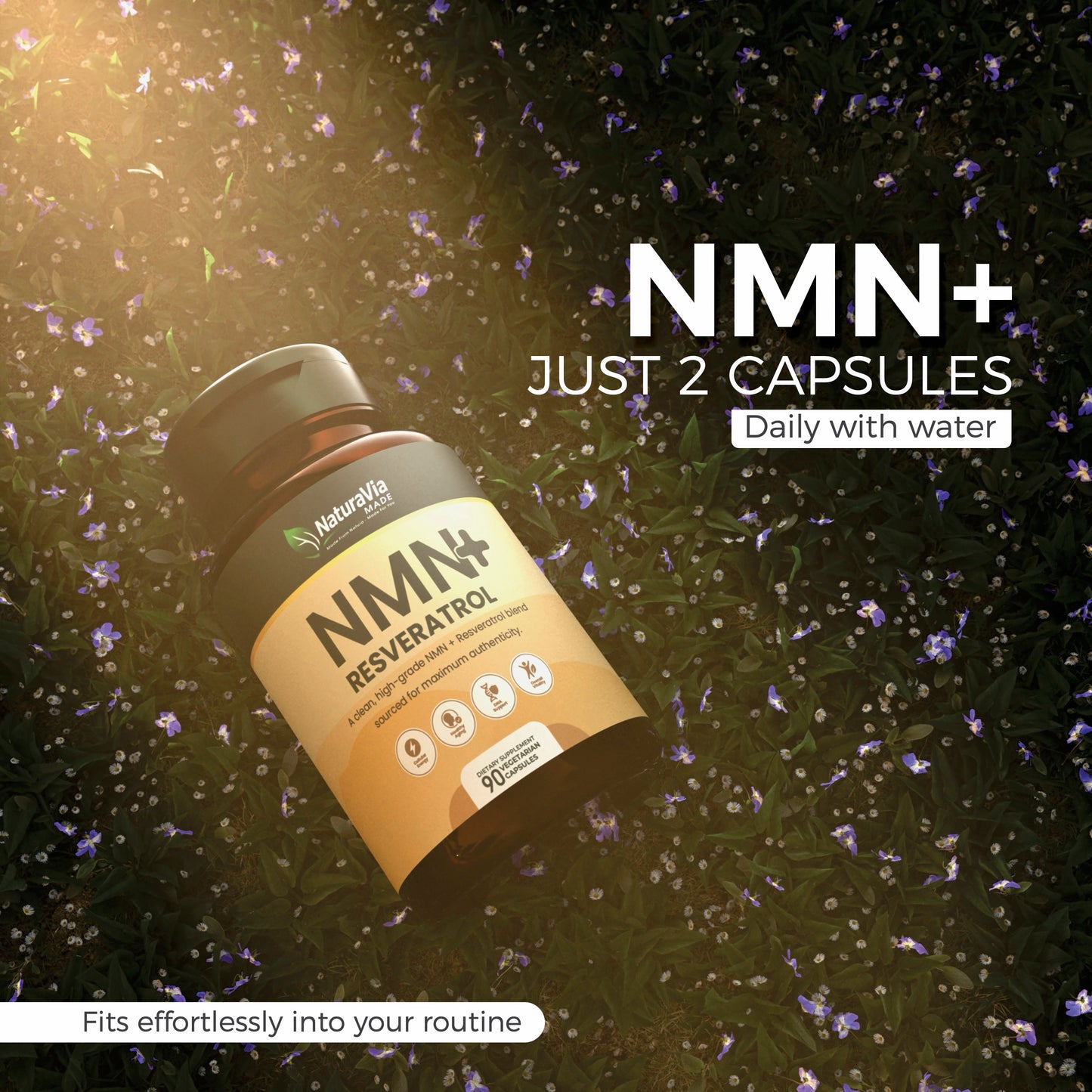 Premium NMN + Resveratrol Capsules