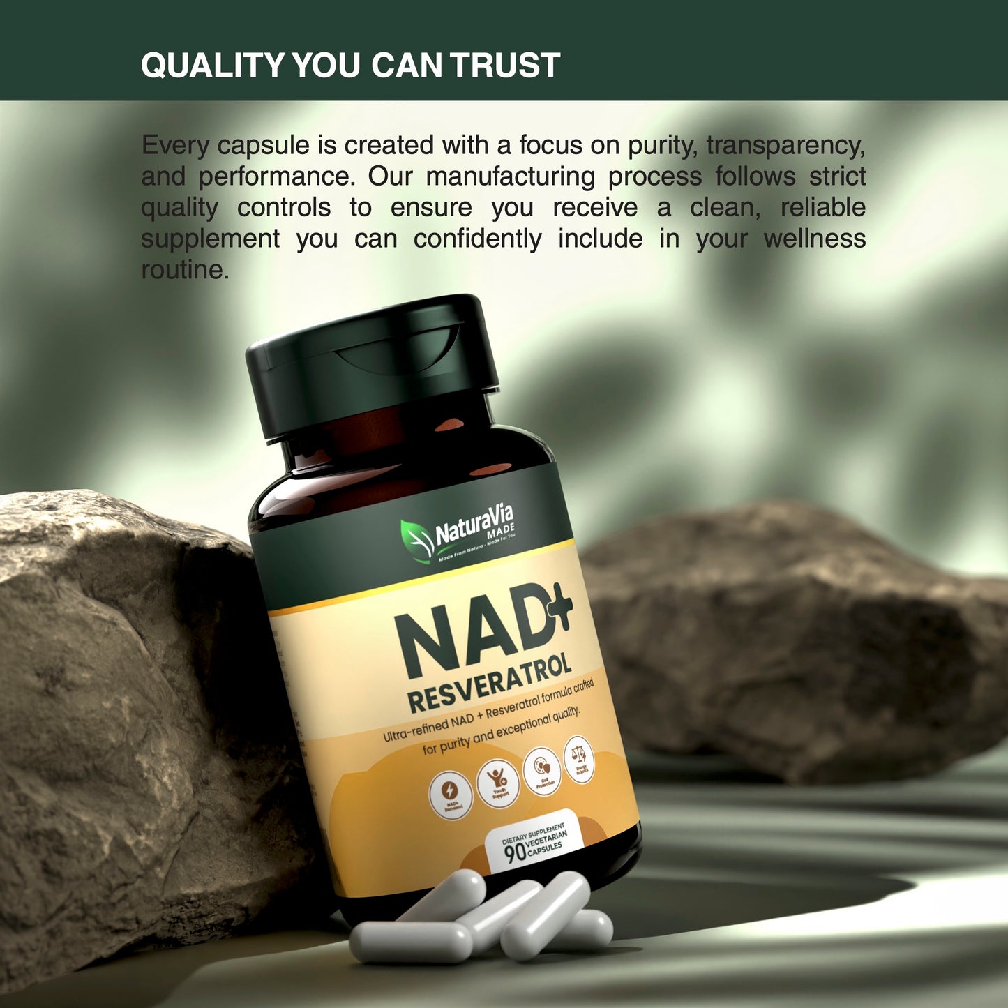 NaturaVia NAD+ Advanced Complex