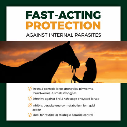 NaturaVia Fenbendazole Equine Dewormer (25gm)
