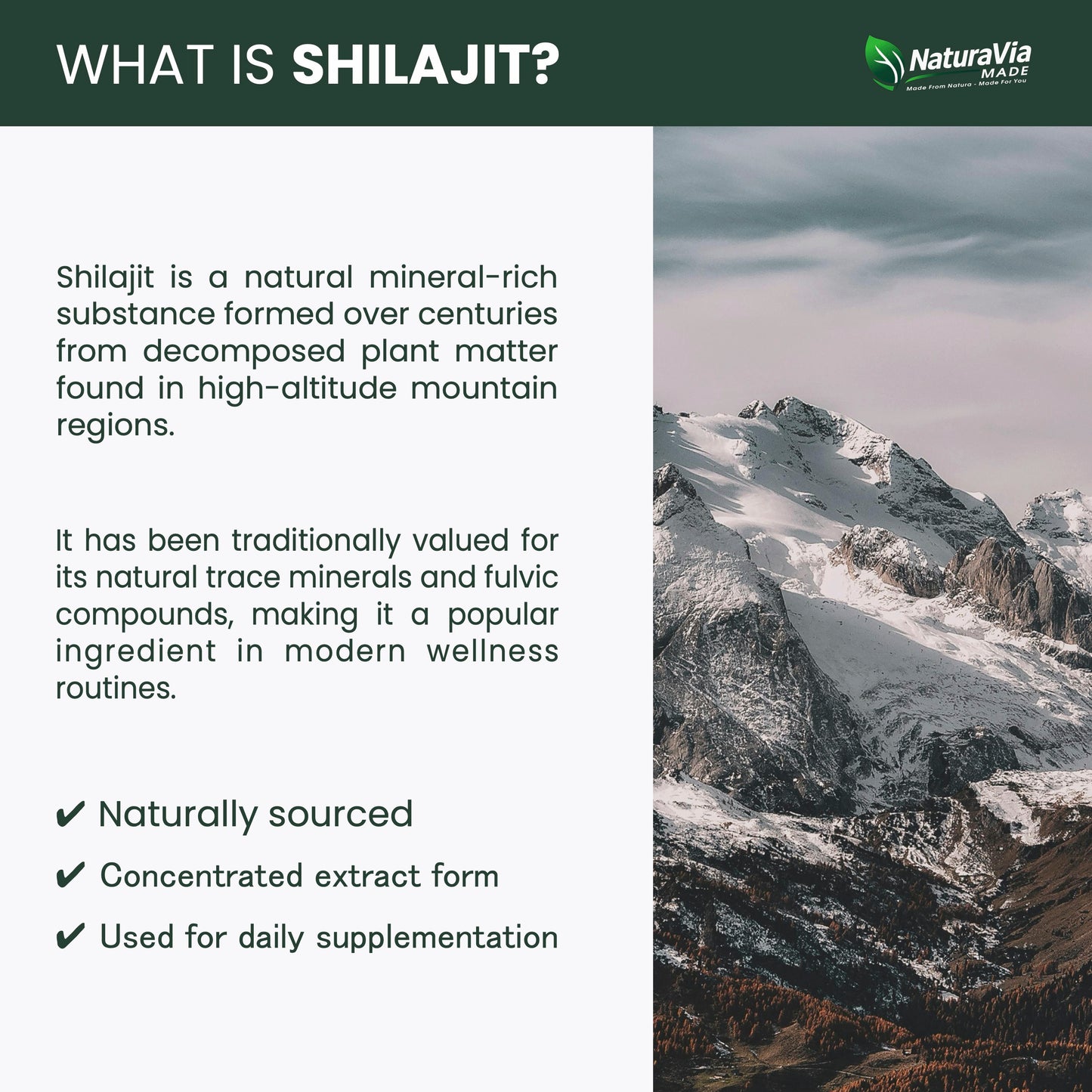 NaturaVia Made Shilajit Vitality Capsules