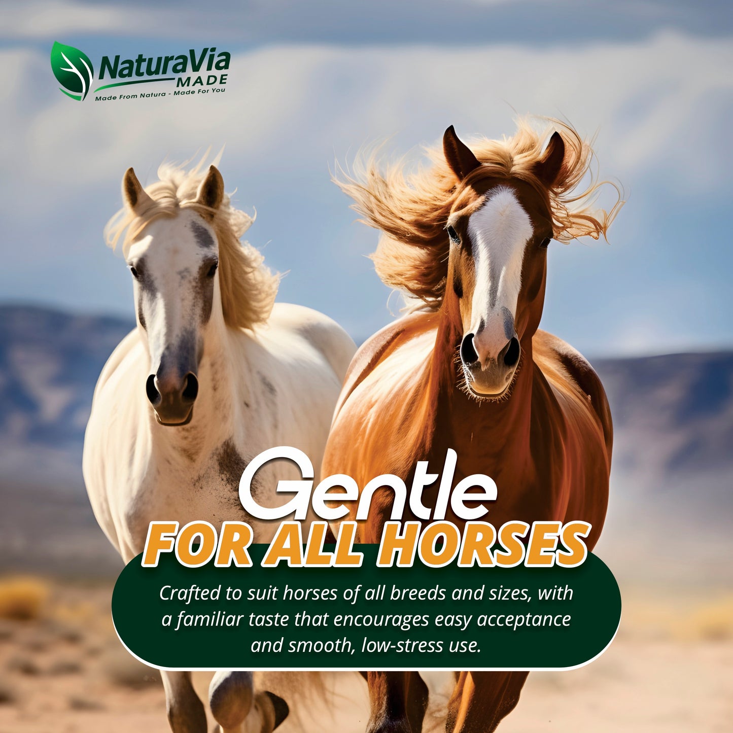 NaturaVia Made Ivermectin Horse Paste 1.87% (3-Pack)