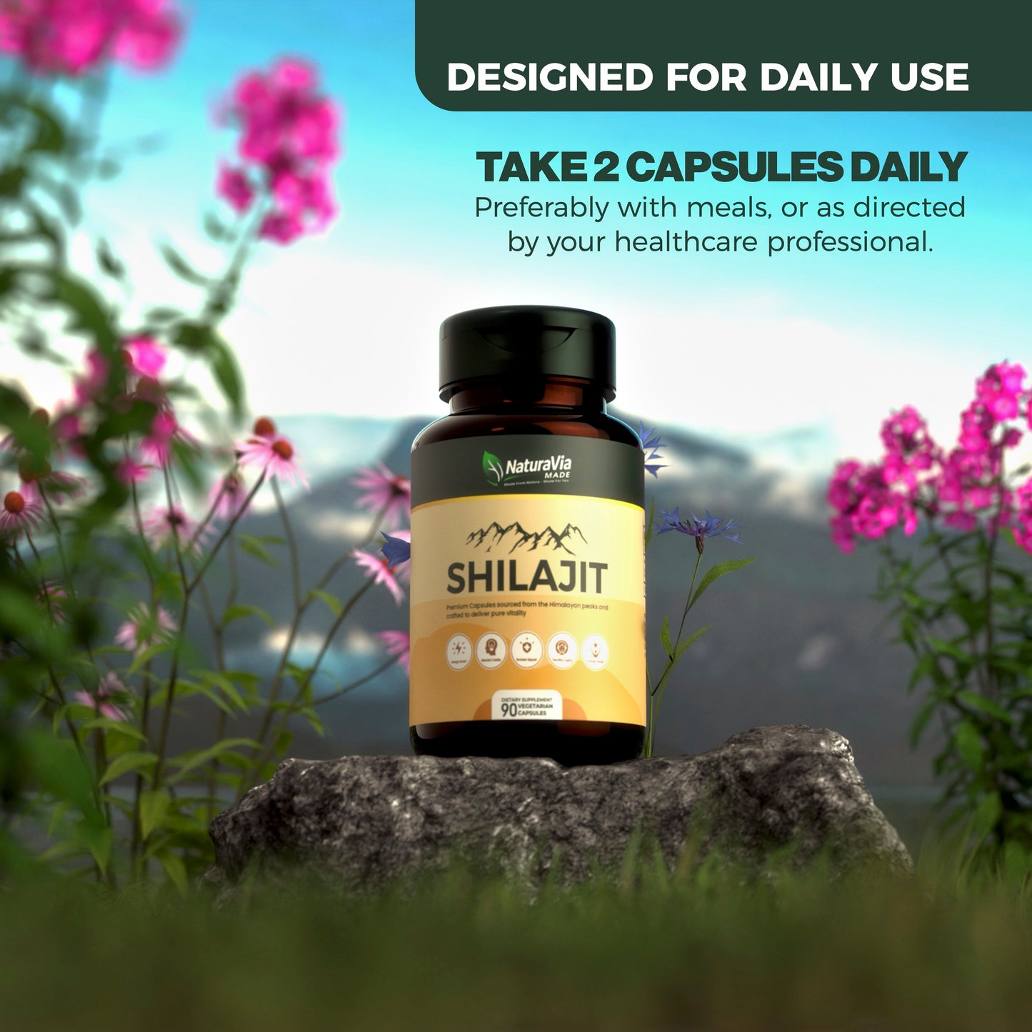 NaturaVia Made Shilajit Vitality Capsules